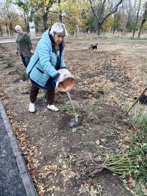 Проведены работы по благоустройству в Краснодоном парке культуры и отдыха им. «Молодой гвардии» Проведены работы по благоустройству в Краснодоном парке культуры и отдыха им. «Молодой гвардии»
