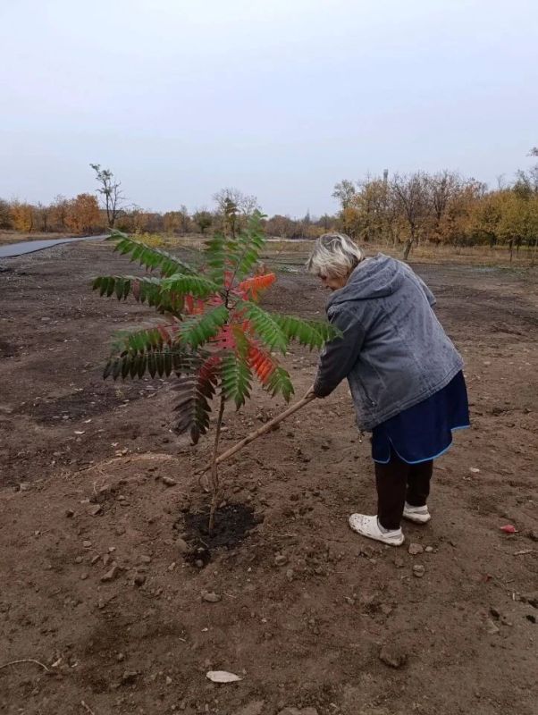 Проведены работы по благоустройству в Краснодоном парке культуры и отдыха им. «Молодой гвардии»