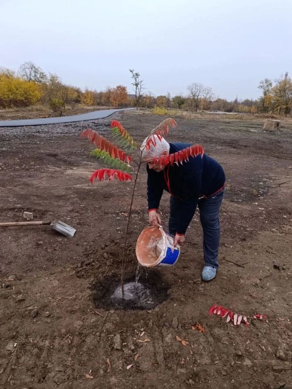 Проведены работы по благоустройству в Краснодоном парке культуры и отдыха им. «Молодой гвардии» Проведены работы по благоустройству в Краснодоном парке культуры и отдыха им. «Молодой гвардии»