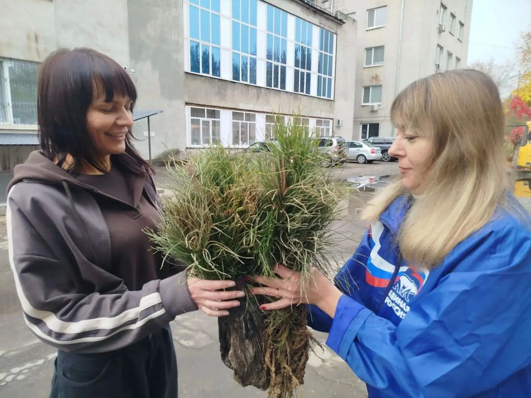 В рамках акции «Эстафета добрых дел» партии «Единая Россия» Администрация городского округа город Брянка получила саженцы сосны В рамках акции «Эстафета добрых дел» партии «Единая Россия» Администрация городского округа город Брянка получила саженцы сосны