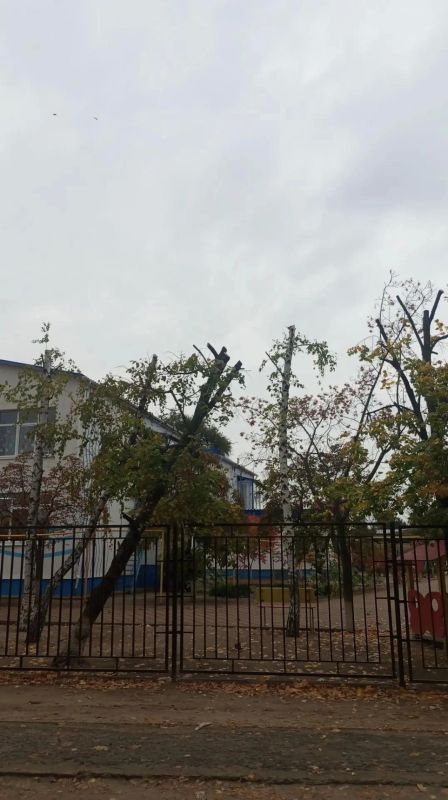 Владимир Чернев: Безопасность и уют на территориях детских садов
