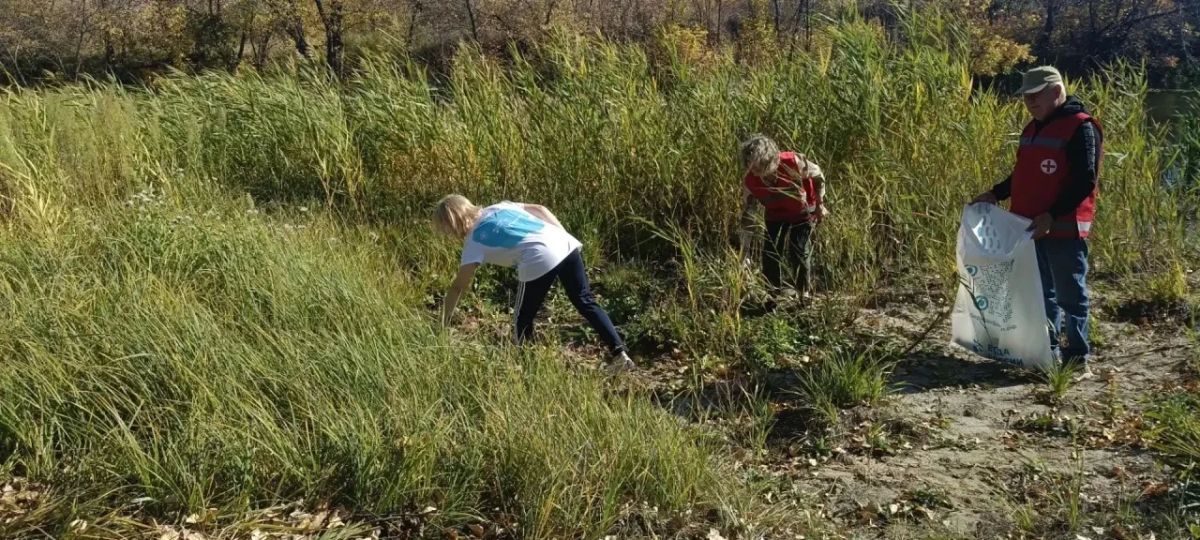 В пгт Белолуцк Новопсковского муниципального округа состоялась экологическая инициатива В пгт Белолуцк Новопсковского муниципального округа состоялась экологическая инициатива