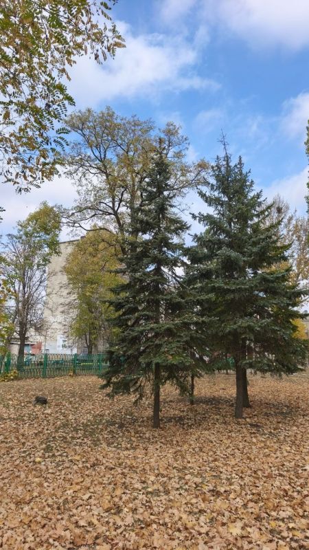 Фотооткрытки октября. Ловим тёплые дни и наслаждаемся палитрой осенних красок Фотооткрытки октября. Ловим тёплые дни и наслаждаемся палитрой осенних красок