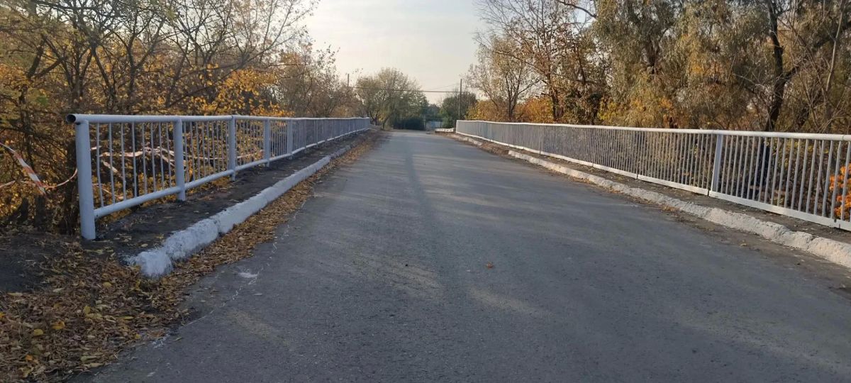 В селе Власовка отремонтировали и покрасили железное ограждение моста через реку Большая Каменка