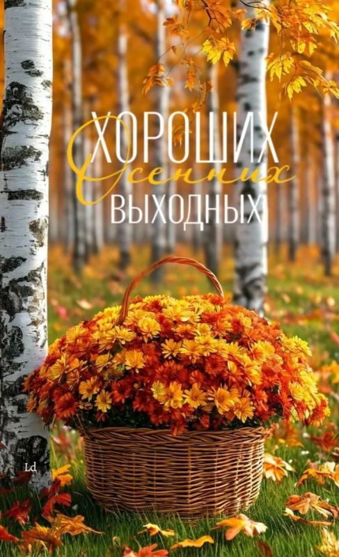 Приветствуем вас,. жители Новопсковского муниципального округа!