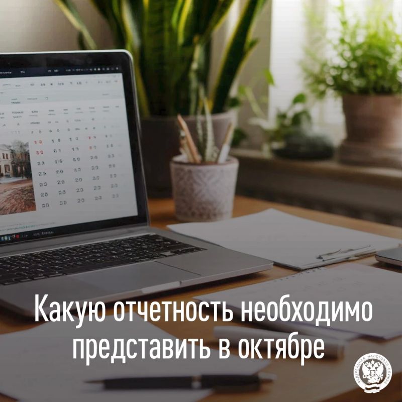 УФНС России по ЛНР напоминает о приближающихся сроках представления отчетности в октябре 2026 года