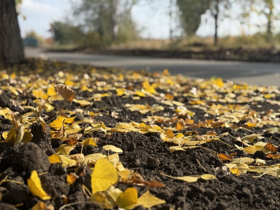 Улицу Молодёжную в г. Молодогвардейск подготавливают к озеленению