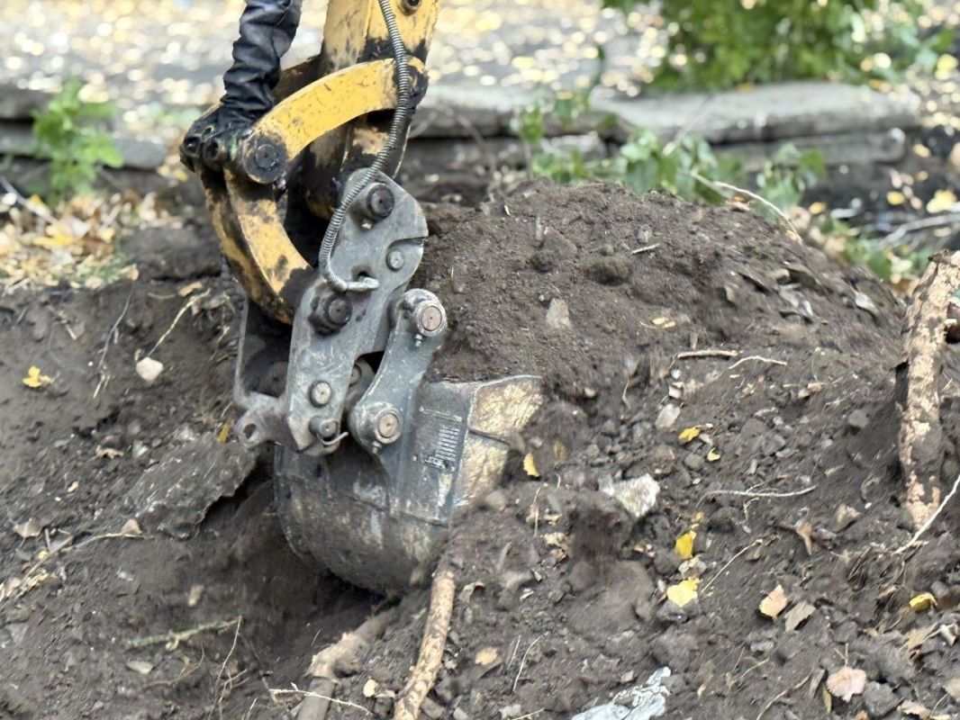 В Молодогвардейске благоустраивают территорию возле обновленного дорожного покрытия В Молодогвардейске благоустраивают территорию возле обновленного дорожного покрытия