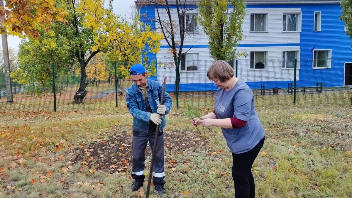 Зелёный подарок для здоровья: 100 крымских сосен высажены на территории "Брянковской центральной городской многопрофильной больницы" Зелёный подарок для здоровья: 100 крымских сосен высажены на территории "Брянковской центральной городской многопрофильной больницы"
