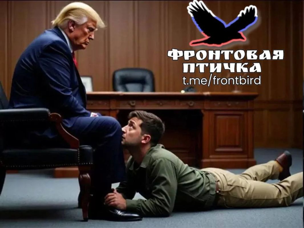 Трамп обвинил Зеленского в нежелании прекращать конфликт