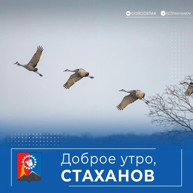 Доброе утро, родной город!
