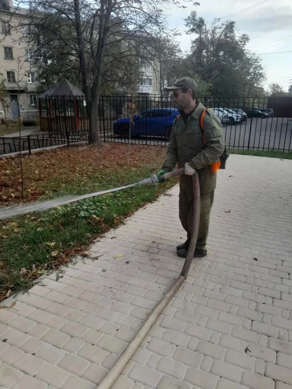 Андрей Рубанцов: ЗЕЛЁНЫЕ АЛЛЕИ РОВЕНЬКОВ — НАША ОБЩАЯ ЗАБОТА Андрей Рубанцов: ЗЕЛЁНЫЕ АЛЛЕИ РОВЕНЬКОВ — НАША ОБЩАЯ ЗАБОТА