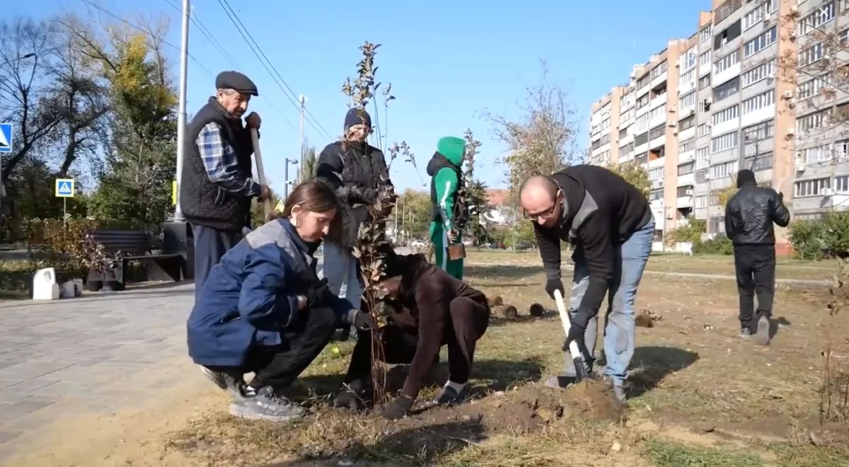 В Луганске проводится компенсационное озеленение