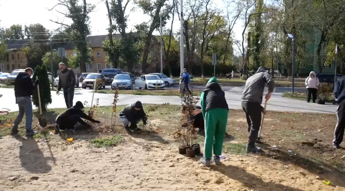 В Луганске проводится компенсационное озеленение В Луганске проводится компенсационное озеленение