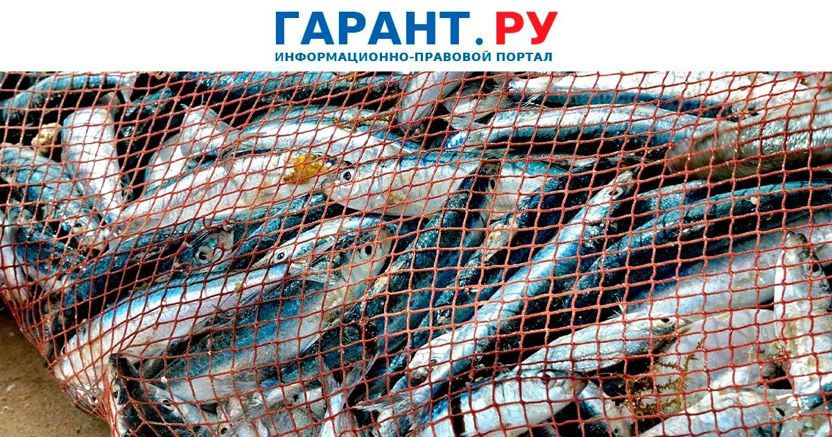 Минсельхоз России разъяснил особенности нацрежима при закупках рыбной продукции