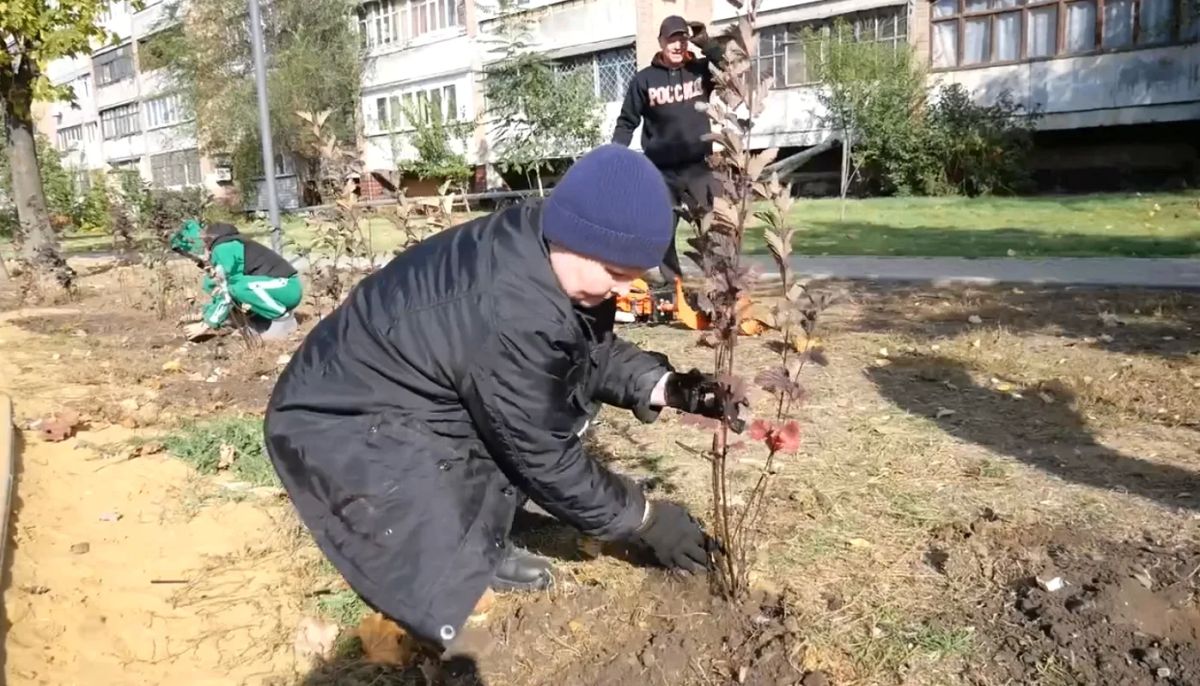 В Луганске проводится компенсационное озеленение В Луганске проводится компенсационное озеленение