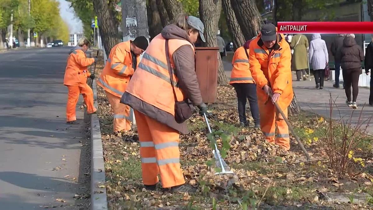Сотрудники Антрацитовского дорожно-эксплуатационного участка занимаются уборкой сезонной листвы