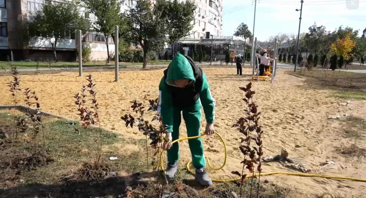 В Луганске проводится компенсационное озеленение В Луганске проводится компенсационное озеленение