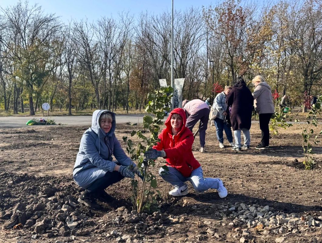 Краснодонцы объединяются ради озеленения парка