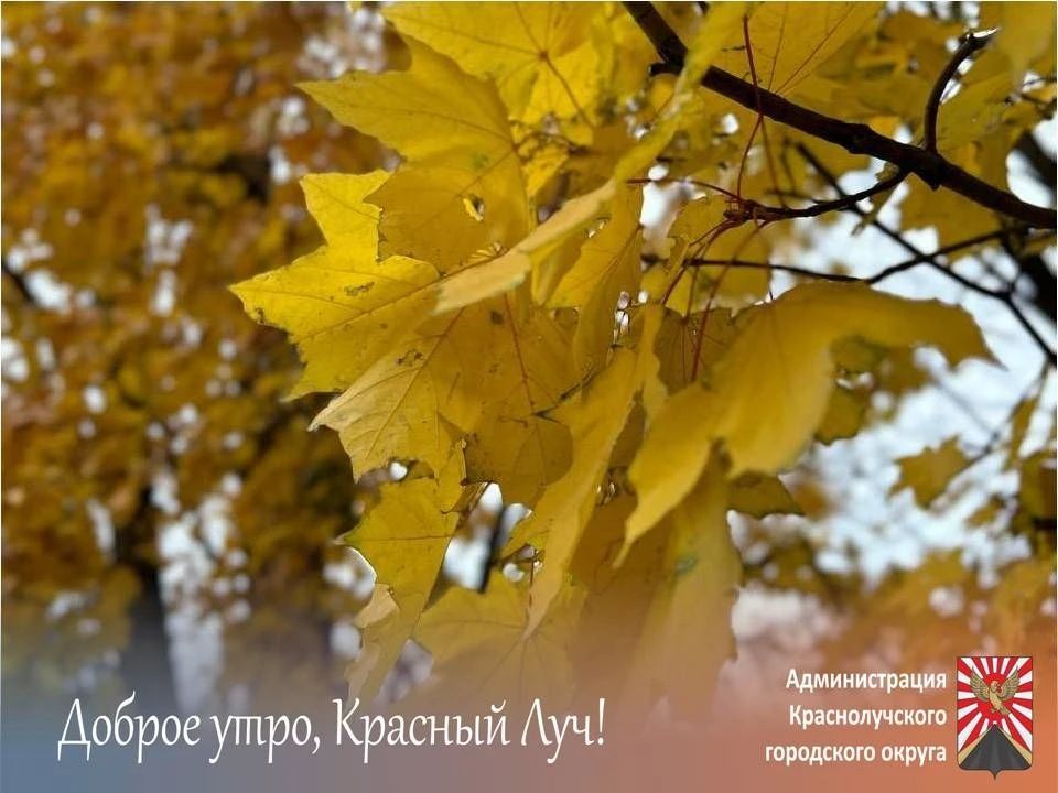Доброе утро, краснолучане и гости города!