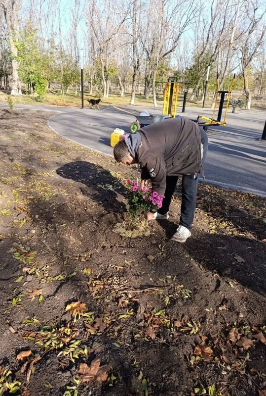 В нашем любимом парке культуры и отдыха имени «Молодой гвардии» ежедневно кипит жизнь, и осень здесь – не время для уныния, а пора активного преображения! В нашем любимом парке культуры и отдыха имени «Молодой гвардии» ежедневно кипит жизнь, и осень здесь – не время для уныния, а пора активного преображения!