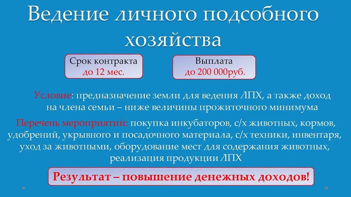 Социальный контракт – новые возможности для граждан!