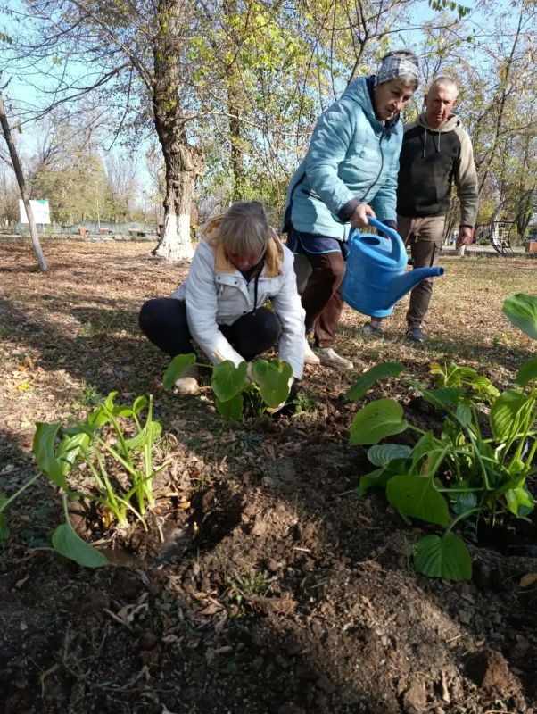 В нашем любимом парке культуры и отдыха имени «Молодой гвардии» ежедневно кипит жизнь, и осень здесь – не время для уныния, а пора активного преображения! В нашем любимом парке культуры и отдыха имени «Молодой гвардии» ежедневно кипит жизнь, и осень здесь – не время для уныния, а пора активного преображения!