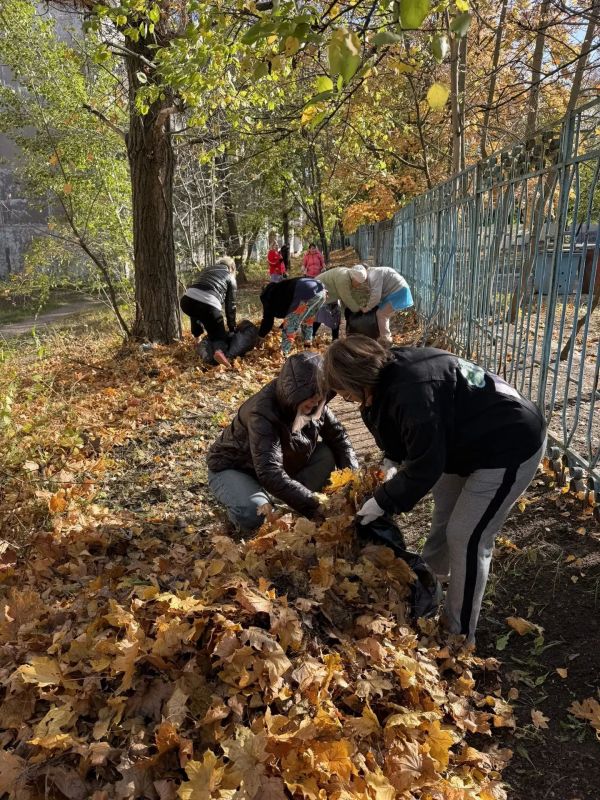 В Молодогвардейске продолжаются работы по благоустройству территорий В Молодогвардейске продолжаются работы по благоустройству территорий