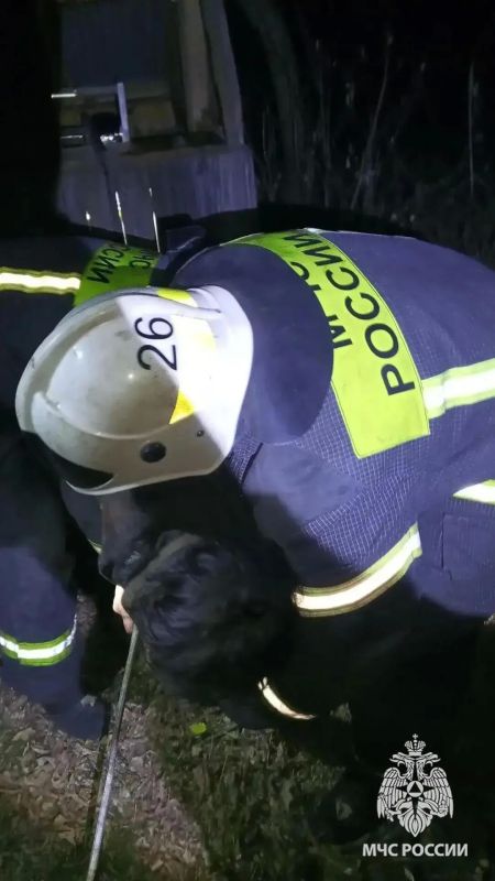 В ЛНР спасатели достали женщину из 10-метрового колодца В ЛНР спасатели достали женщину из 10-метрового колодца