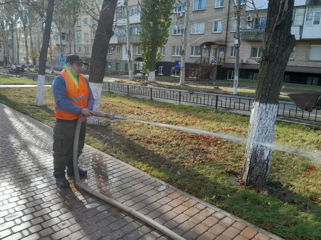 Андрей Рубанцов: Зелёные аллеи Ровеньков — забота, которая требует постоянного внимания