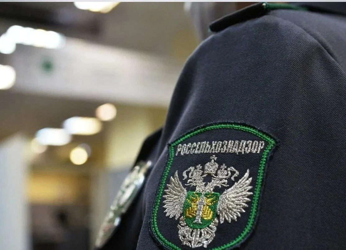 Россельхознадзором выдано 12 предостережений хозяйствующим субъектам ЛНР в сфере земельного контроля