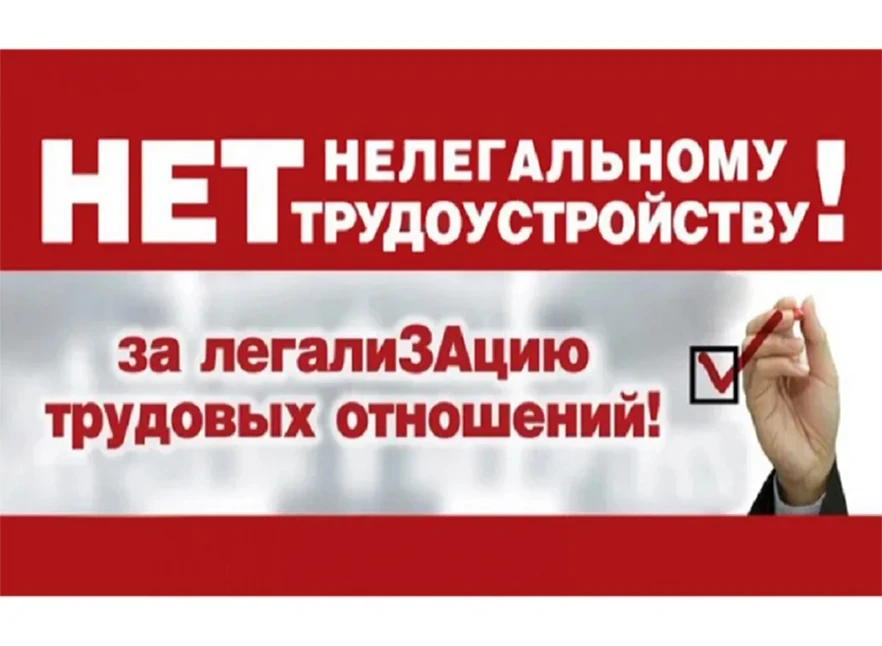 Нелегальная занятость в сельском хозяйстве: риски для работника и ответственность работодателя