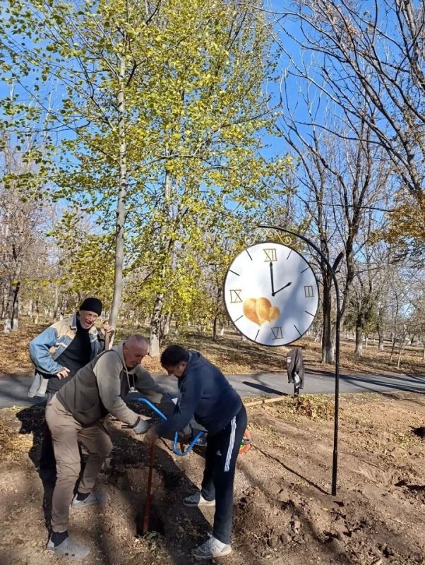 Порядок в парке — дело ежедневное! Порядок в парке — дело ежедневное!