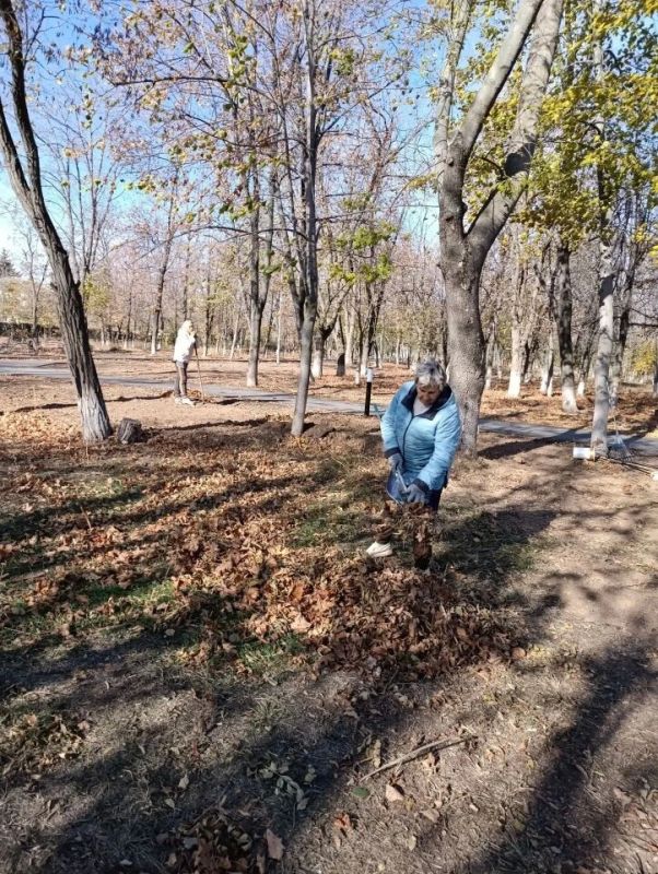 Порядок в парке — дело ежедневное! Порядок в парке — дело ежедневное!