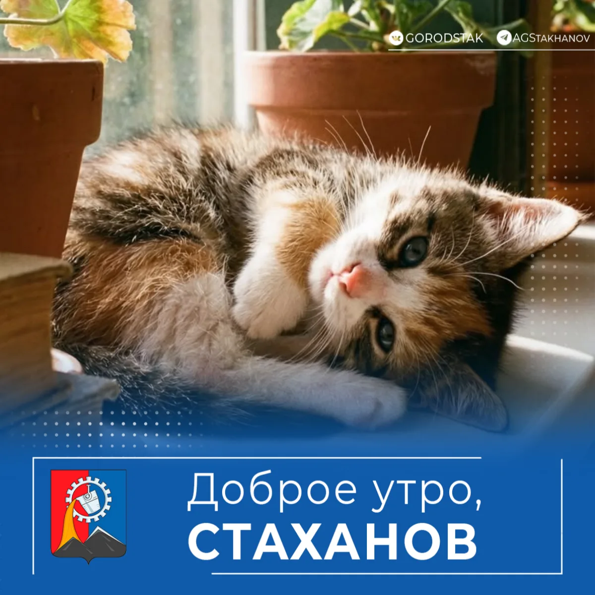 Доброе утро, родной город!