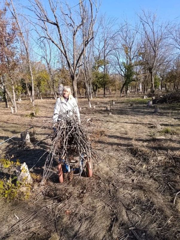 Порядок в парке — дело ежедневное! Порядок в парке — дело ежедневное!