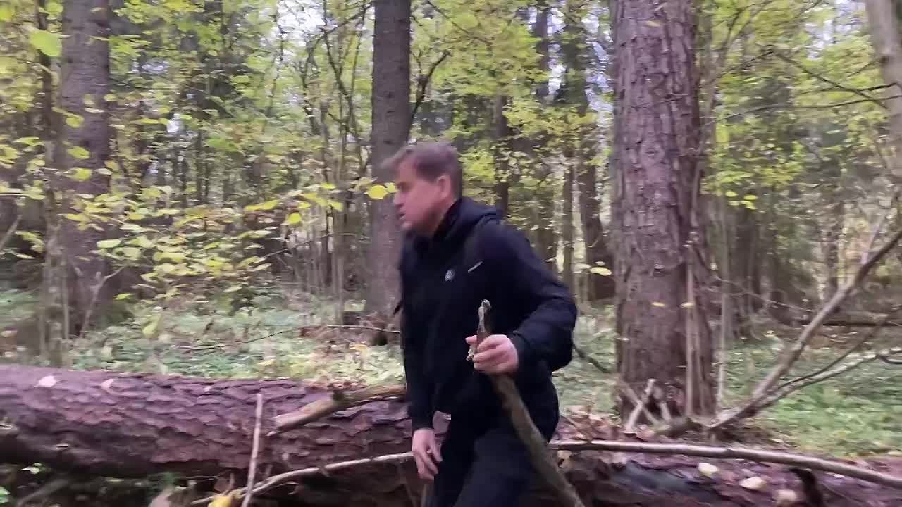 Российский музыкант Дмитрий Юрков написал песню о покровительнице Луганска - Луганской Богородице