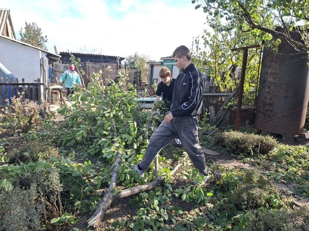 Тёплый труд: школьники помогли ветерану педагогического труда Лукаш Ольге Алексеевне Тёплый труд: школьники помогли ветерану педагогического труда Лукаш Ольге Алексеевне