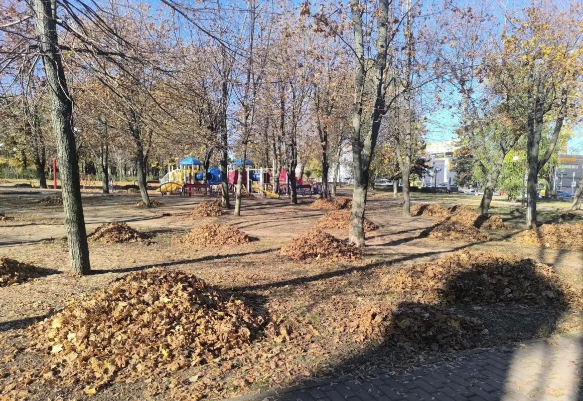 Благоустройство Сквера Памяти: итоги мероприятия Благоустройство Сквера Памяти: итоги мероприятия