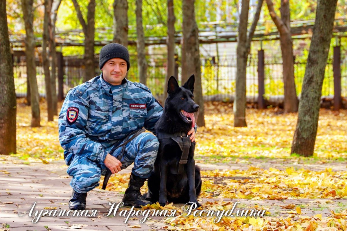 Ирина Волк: Ноябрь рисует серым по холсту Ирина Волк: Ноябрь рисует серым по холсту